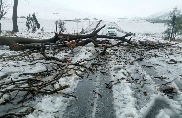 Children swept away in school bus among at least 49 killed in South Africa flooding