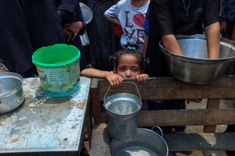 Aid to Gaza hangs by a thread amid looting and starvation